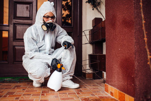 Reliable Wasp Removal contractor in Westover, AL by Show Me Pest Control